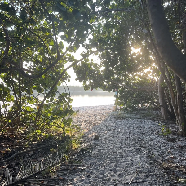 Hobe Sound Real Estate Florida